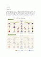 Aplastic anemia(재생불량성 빈혈) case study 2페이지
