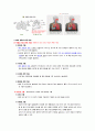 자연 기흉 (pneumothorax) 일차성 기흉  case study 3페이지