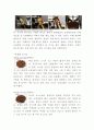 커피의 모든것 - 커피 정의 역사 종류연구 및 커피 가공방법과 오해와진실 10페이지