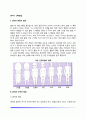 [영아기 신체발달] 영아기 신장과 체중의 발달 골격과 근육의 발달 치아발달 두뇌와 신경계 발달 생리기능 발달 운동발달 3페이지