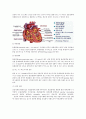 급성심근경색증(acute myocardial infarction AMI) 케이스 스터디 5페이지