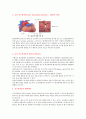 급성심근경색증(acute myocardial infarction AMI) 케이스 스터디 6페이지