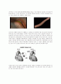 급성심근경색증(acute myocardial infarction AMI) 케이스 스터디 20페이지