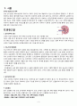 말기신부전 케이스 스터디 (말기신부전 케이스 신부전 케이스 케이스스터디 간호과정 말기 신부전 말기신질환) 3페이지