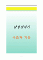 남자생식기 구조와 기능 1페이지