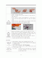 남자생식기 구조와 기능 6페이지