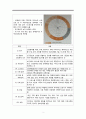 지역사회 간호수행과 간호활동 2페이지