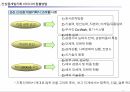 신상품 개발 기획 8페이지
