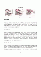 [출산] 분만과정 출산방법 출산시의 문제 산후적응 4페이지