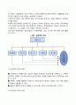 조직구조와 유형(위원회조직 프로젝트조직 사업부제조직 매트릭스조직) 3페이지