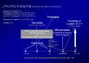 고객 충성도Customer Loyalty에 대한이해와 충성도 프로그램Loyalty Program 9페이지