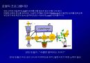 고객 충성도Customer Loyalty에 대한이해와 충성도 프로그램Loyalty Program 28페이지