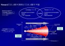 고객 충성도Customer Loyalty에 대한이해와 충성도 프로그램Loyalty Program 30페이지