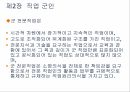 직업 군인론 26페이지