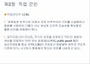 직업 군인론 37페이지