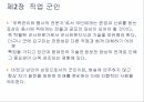 직업 군인론 38페이지