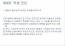 직업 군인론 40페이지