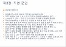 직업 군인론 45페이지