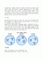 경영자의 역할과 기능 5페이지