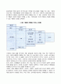 소비자 마케팅 전략(소비자 행동에 대한 영향요인 구매자 의사결정과정) 2페이지