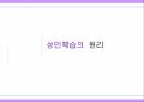 성인학습자에  대한  이해 17페이지