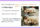 성인학습자에  대한  이해 32페이지
