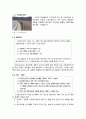 시선유도표지에 관한 보고서 3페이지