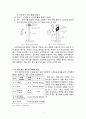 시선유도표지에 관한 보고서 4페이지
