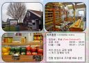 암스테르담을 여행하다 42페이지