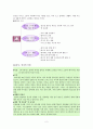 아껴 쓰는 보람 [지도요소 교과서 요약 인지적 정의적 행독적 측면] 2페이지