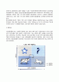 경영전략의 의미와 중요성 경영전략수립 경영전략모형 11페이지