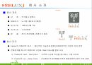 필룩스 -  SWOT  분석 3페이지