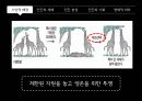 자연 선택으로 살아남은 호모 사피엔스 - 다윈 5페이지