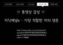 자연 선택으로 살아남은 호모 사피엔스 - 다윈 22페이지