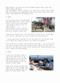 [한국민속의 이해] 민속문화의 이해 - 우리 민족의 전통 신앙생활 5페이지