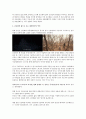 다큐멘터리 작품분석 - 만신 - 박찬경 4페이지