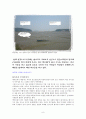 민속답사 보고서 - 안산시 대부도 지역을 중심으로 9페이지