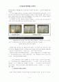 문인답사보고서 - 김유정 문학관을 다녀와서 4페이지