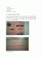 43관련 보고서 -사회학개론 4페이지