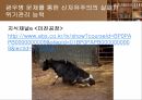 아무도 남을 돌보지 마라 14페이지
