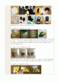 아동 유아 교재·교구 제작계획안 - 가을 - 만 5세 - 동화 - 시골쥐와 서울쥐 - 융판동화 동극 3페이지