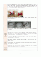 아동 유아 교재·교구 제작계획안 - 가을 - 만 5세 - 동화 - 시골쥐와 서울쥐 - 융판동화 동극 6페이지