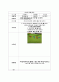 아동 유아 교재·교구 제작계획안 - 멸종위기 동물들 - 만 5세 - 왜 사라질까 - 수조작 영역 - 자석 놀이 - 자석에 붙어요 2페이지