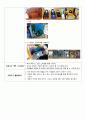 아동 유아 교재·교구 제작계획안 - 우리동네 - 만 5세 - 제복을 입는 직업들이에요 - 이야기나누기 2페이지