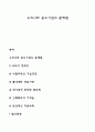 우리나라 중소기업의 문제점 1페이지