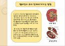 멜라닌환경 - 멜라민에 대한 사회적 이슈 멜라민 문제점 8페이지