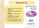 멜라닌환경 - 멜라민에 대한 사회적 이슈 멜라민 문제점 13페이지