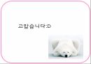 학습장애 관찰기관 - 관찰 기관 특성 교육과정 교육방법 학생특성 교육환경 19페이지