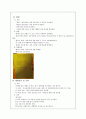 사업계획서 - 지역사회복지 프로그램 - 스포츠 - 중 · 고등학생을 위한 풋살 한마당 4페이지