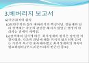 사회복지 발달사 - 베버리지 보고서 16페이지